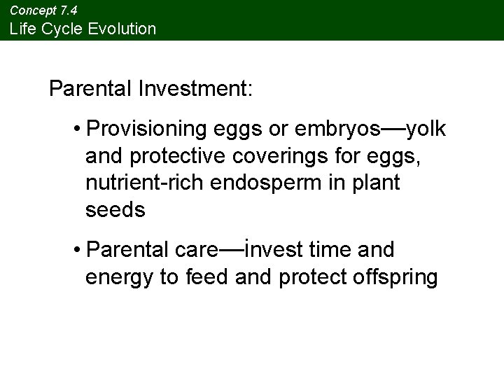 Concept 7. 4 Life Cycle Evolution Parental Investment: • Provisioning eggs or embryos—yolk and