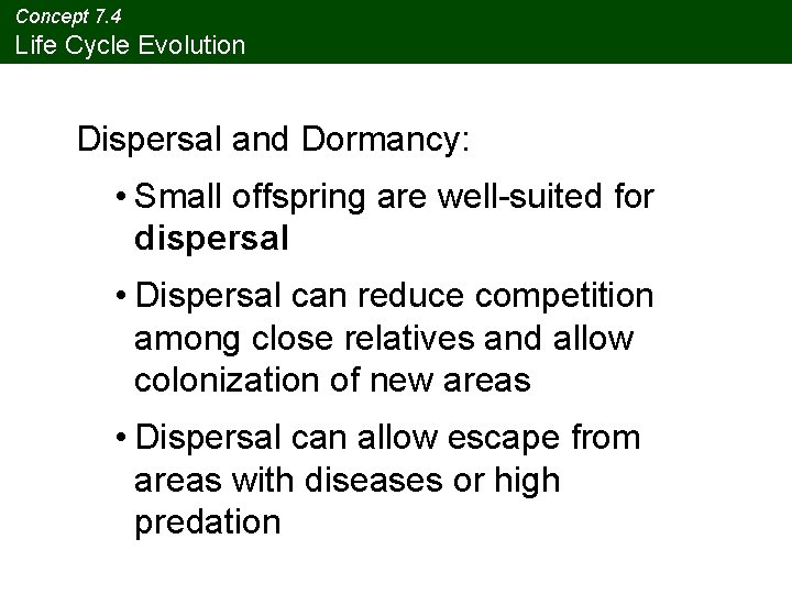 Concept 7. 4 Life Cycle Evolution Dispersal and Dormancy: • Small offspring are well-suited