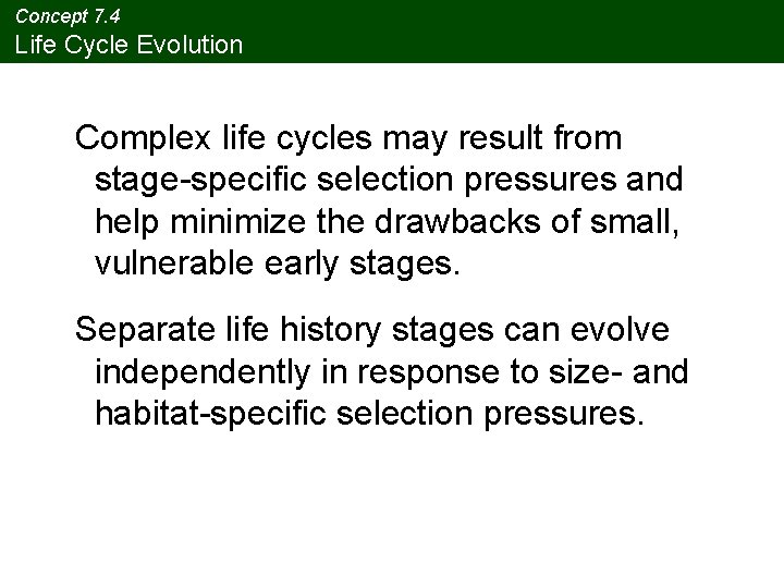 Concept 7. 4 Life Cycle Evolution Complex life cycles may result from stage-specific selection Concept 7. 4 Life Cycle Evolution Complex life cycles may result from stage-specific selection