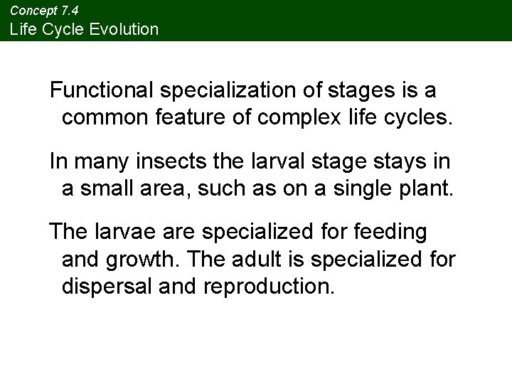 Concept 7. 4 Life Cycle Evolution Functional specialization of stages is a common feature