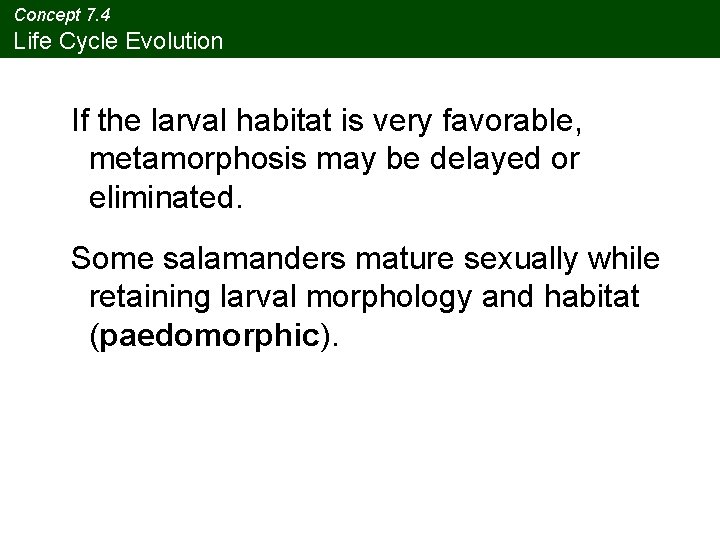 Concept 7. 4 Life Cycle Evolution If the larval habitat is very favorable, metamorphosis