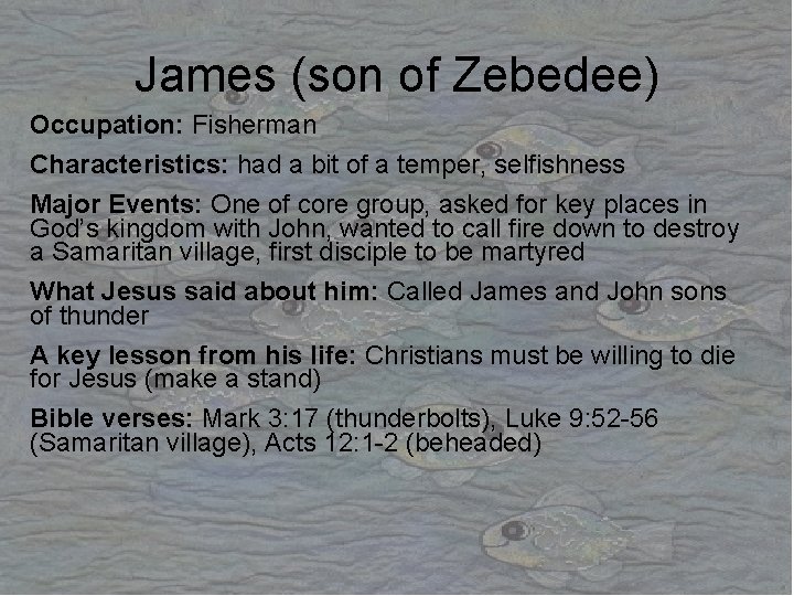 James (son of Zebedee) Occupation: Fisherman Characteristics: had a bit of a temper, selfishness James (son of Zebedee) Occupation: Fisherman Characteristics: had a bit of a temper, selfishness
