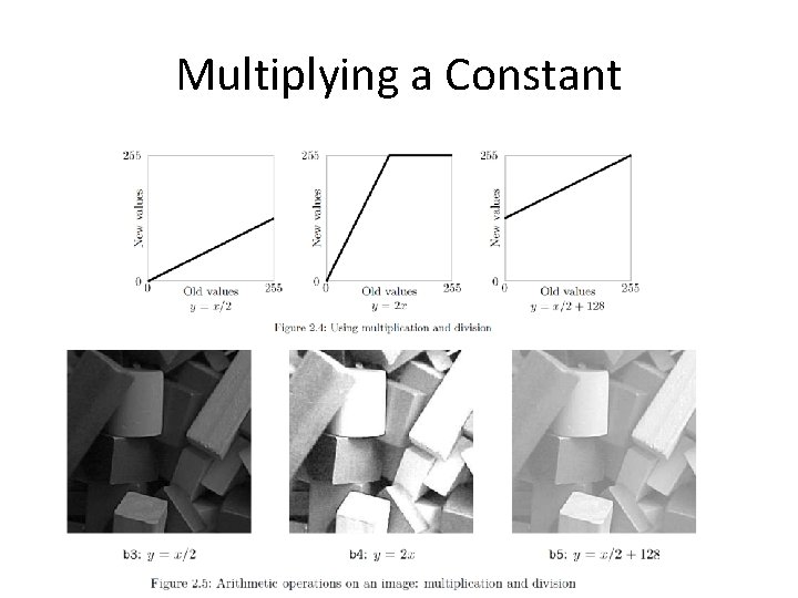 Multiplying a Constant 