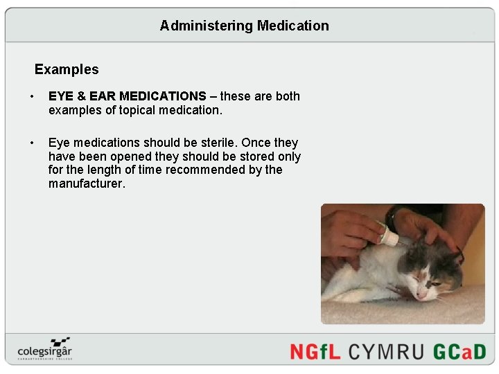 Administering Medication Examples • EYE & EAR MEDICATIONS – these are both examples of