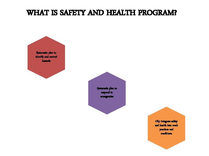 WHAT IS SAFETY AND HEALTH PROGRAM? Systematic plan to identify and control hazards Systematic WHAT IS SAFETY AND HEALTH PROGRAM? Systematic plan to identify and control hazards Systematic