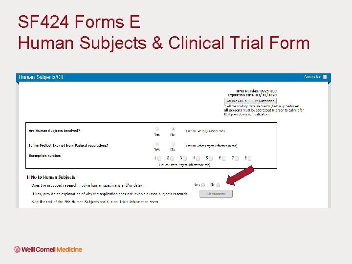 SF 424 Forms E Human Subjects & Clinical Trial Form 