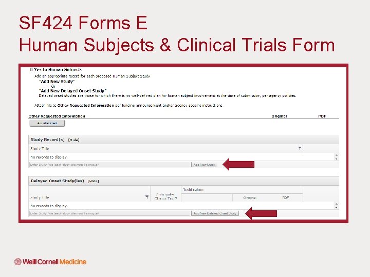 SF 424 Forms E Human Subjects & Clinical Trials Form 