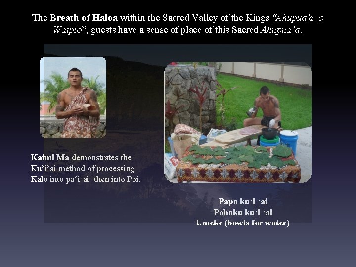 The Breath of Haloa within the Sacred Valley of the Kings "Ahupua'a o Waipio”,