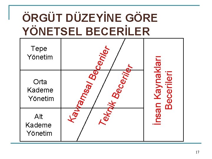 ÖRGÜT DÜZEYİNE GÖRE YÖNETSEL BECERİLER İnsan Kaynakları Becerileri r rile Be ce nik Tek