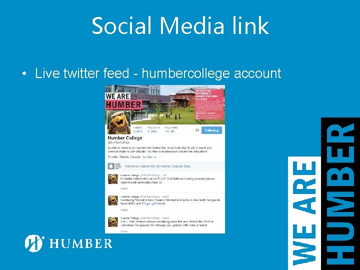 Social Media link • Live twitter feed - humbercollege account 