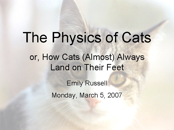 The Physics of Cats or, How Cats (Almost) Always Land on Their Feet Emily