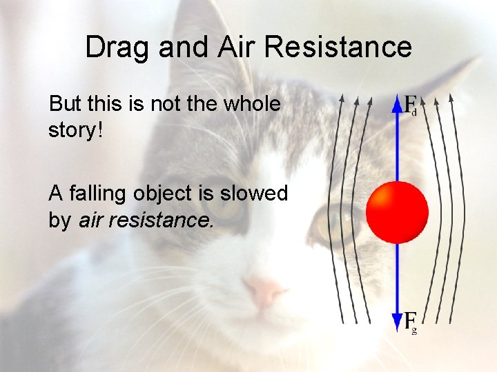 Drag and Air Resistance But this is not the whole story! A falling object