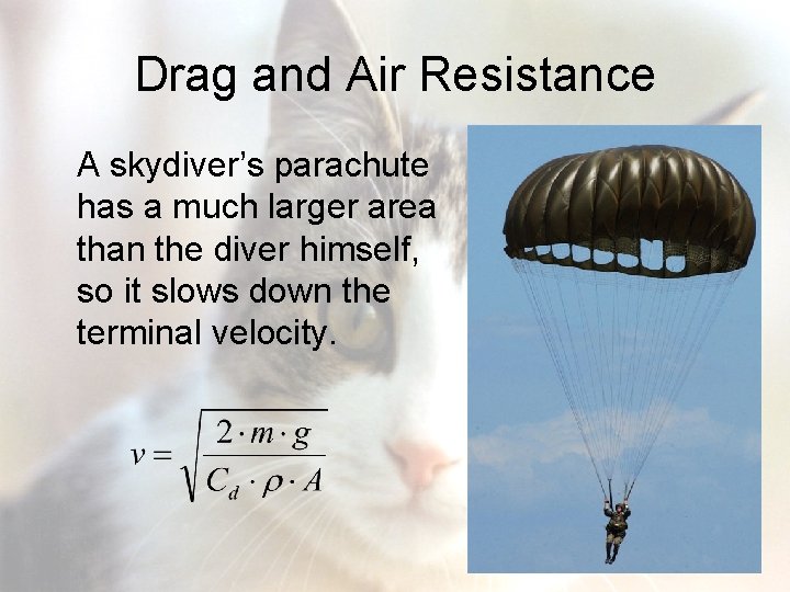 Drag and Air Resistance A skydiver’s parachute has a much larger area than the