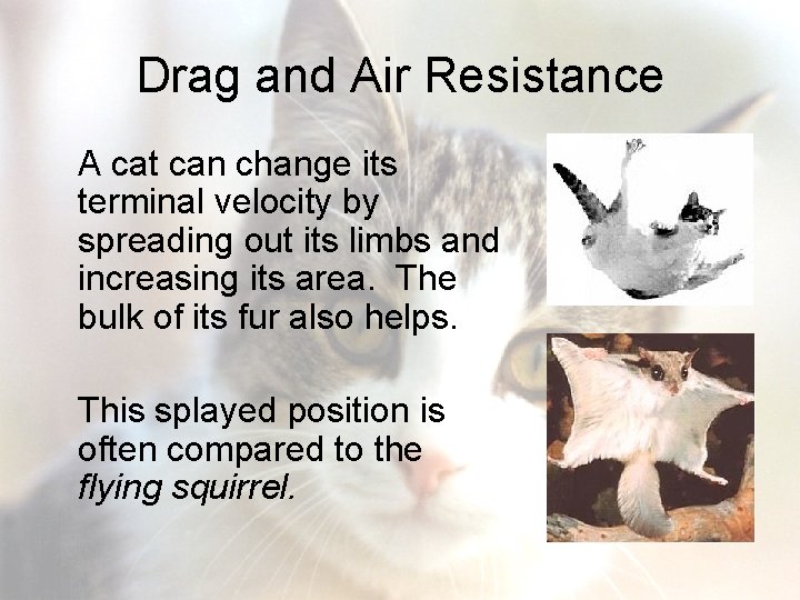 Drag and Air Resistance A cat can change its terminal velocity by spreading out