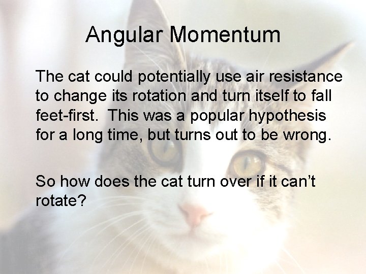 Angular Momentum The cat could potentially use air resistance to change its rotation and