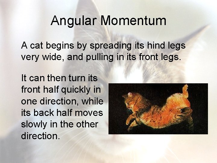 Angular Momentum A cat begins by spreading its hind legs very wide, and pulling