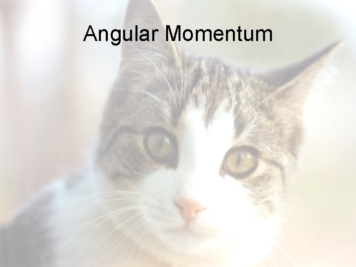 Angular Momentum 