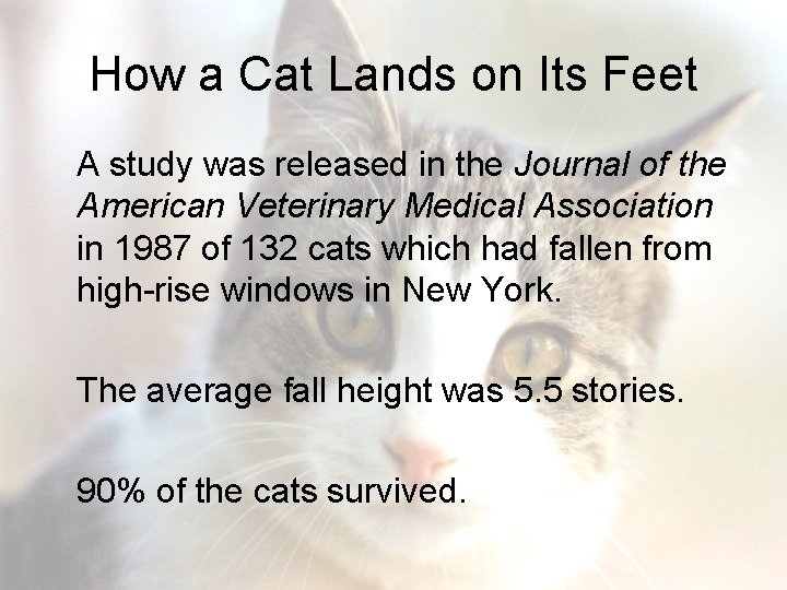 How a Cat Lands on Its Feet A study was released in the Journal