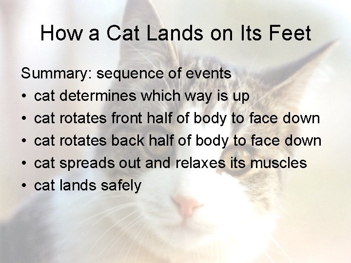 How a Cat Lands on Its Feet Summary: sequence of events • cat determines