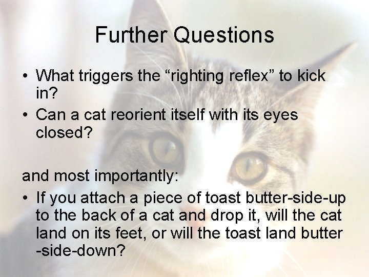 Further Questions • What triggers the “righting reflex” to kick in? • Can a