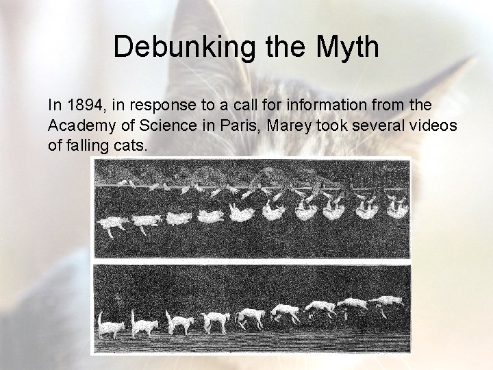 Debunking the Myth In 1894, in response to a call for information from the