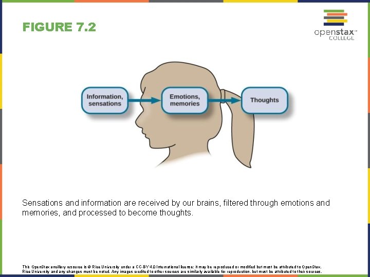 FIGURE 7. 2 Sensations and information are received by our brains, filtered through emotions