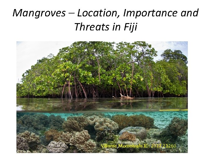 Mangroves – Location, Importance and Threats in Fiji Viliame Momoivalu ID: 2017 21260 