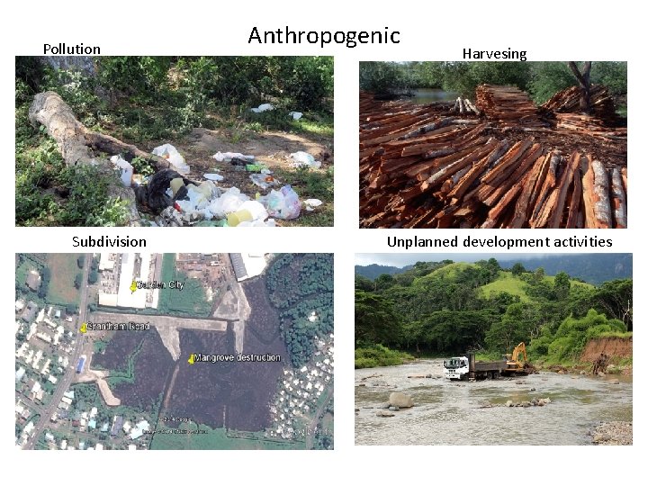 Pollution Subdivision Anthropogenic Harvesing Unplanned development activities 