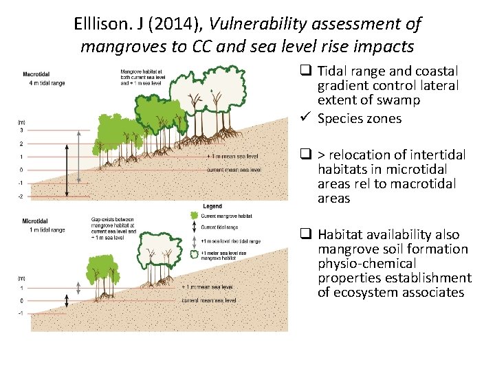 Elllison. J (2014), Vulnerability assessment of mangroves to CC and sea level rise impacts