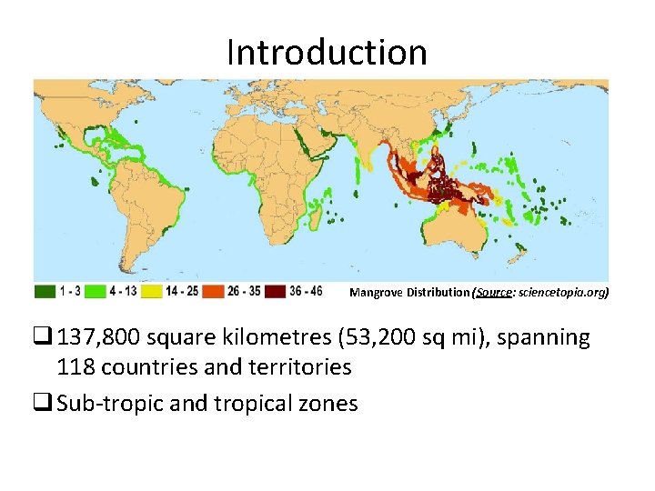 Introduction Mangrove Distribution (Source: sciencetopia. org) q 137, 800 square kilometres (53, 200 sq