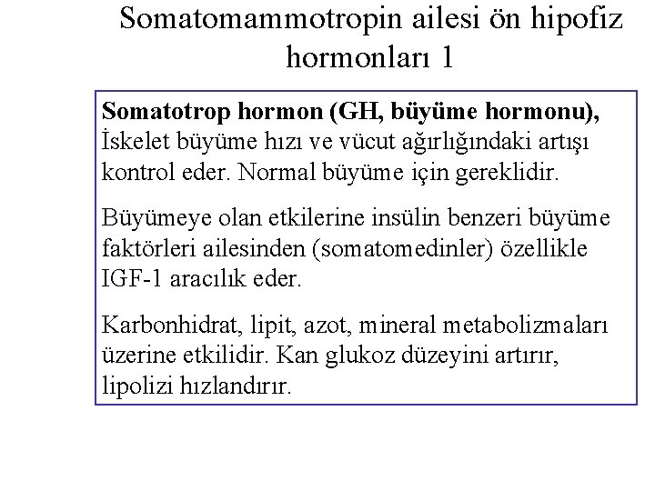 Somatomammotropin ailesi ön hipofiz hormonları 1 Somatotrop hormon (GH, büyüme hormonu), İskelet büyüme hızı