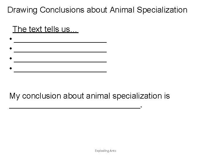 Drawing Conclusions about Animal Specialization The text tells us… • _____________________________ My conclusion about