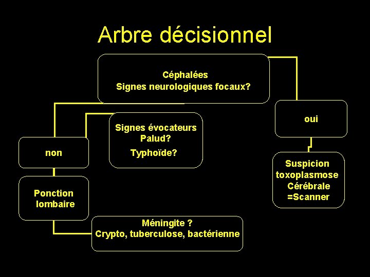 Arbre décisionnel Céphalées Signes neurologiques focaux? Signes évocateurs Palud? non oui Typhoïde? Suspicion toxoplasmose