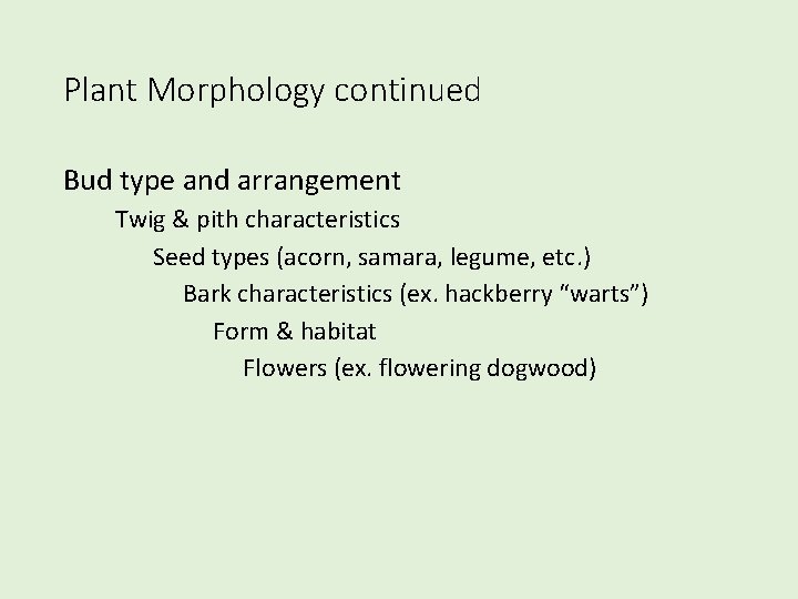 Plant Morphology continued Bud type and arrangement Twig & pith characteristics Seed types (acorn,