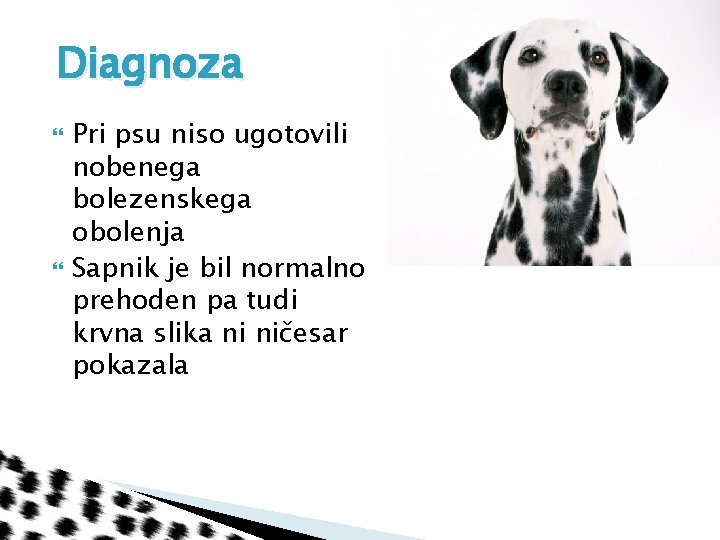 Diagnoza Pri psu niso ugotovili nobenega bolezenskega obolenja Sapnik je bil normalno prehoden pa