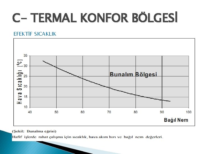 C- TERMAL KONFOR BÖLGESİ EFEKTİF SICAKLIK 