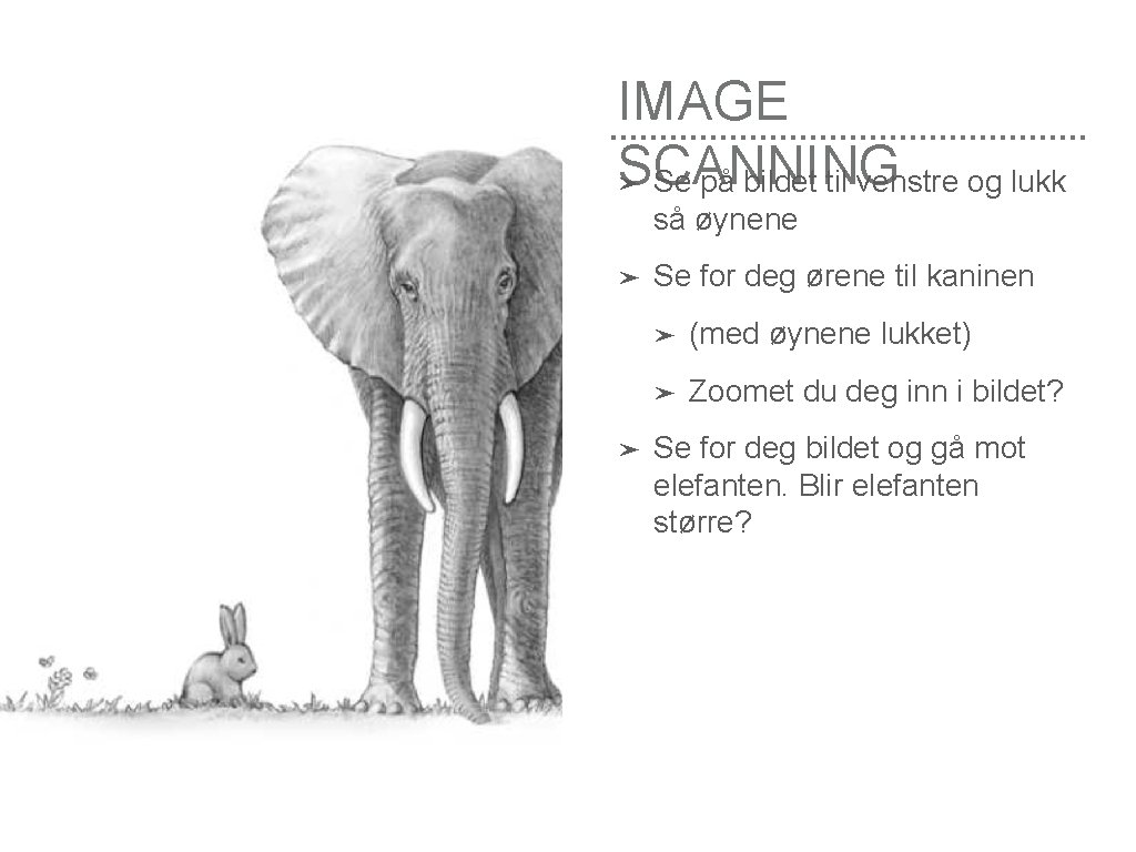 IMAGE SCANNING ➤ Se på bildet til venstre og lukk så øynene ➤ ➤