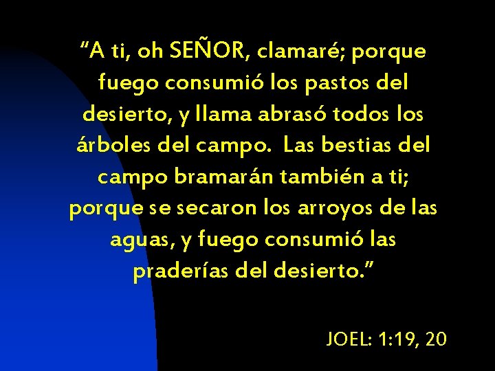 “A ti, oh SEÑOR, clamaré; porque fuego consumió los pastos del desierto, y llama