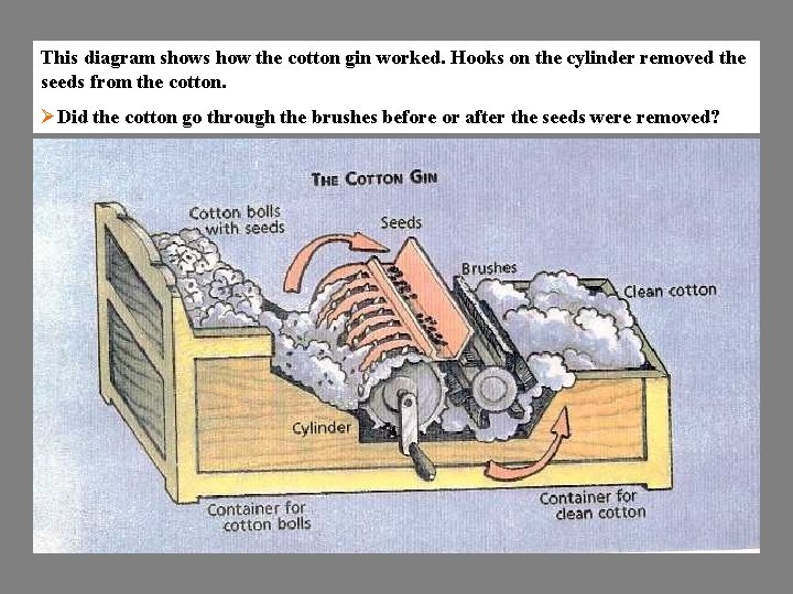 This diagram shows how the cotton gin worked. Hooks on the cylinder removed the