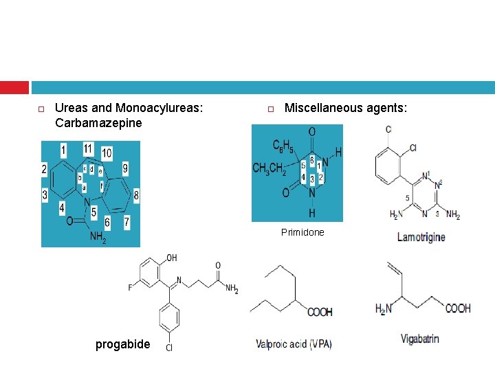  Ureas and Monoacylureas: Carbamazepine Miscellaneous agents: Primidone progabide 