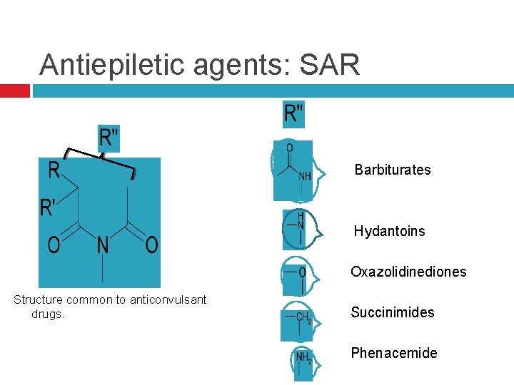 Antiepiletic agents: SAR Barbiturates Structure common to anticonvulsant drugs. Hydantoins Oxazolidinediones Succinimides Phenacemide 