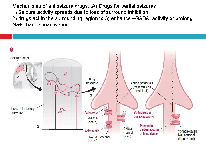 Mechanisms of antiseizure drugs. (A) Drugs for partial seizures: 1) Seizure activity spreads due