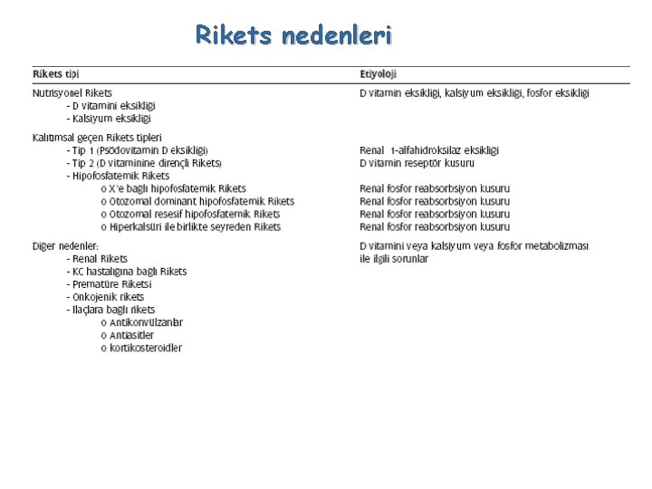 Rikets nedenleri 