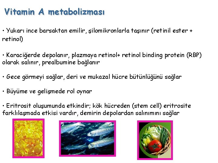 Vitamin A metabolizması • Yukarı ince barsaktan emilir, şilomikronlarla taşınır (retinil ester + retinol)