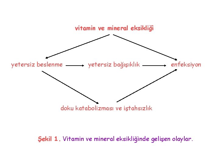 vitamin ve mineral eksikliği yetersiz beslenme yetersiz bağışıklık enfeksiyon doku katabolizması ve iştahsızlık Şekil