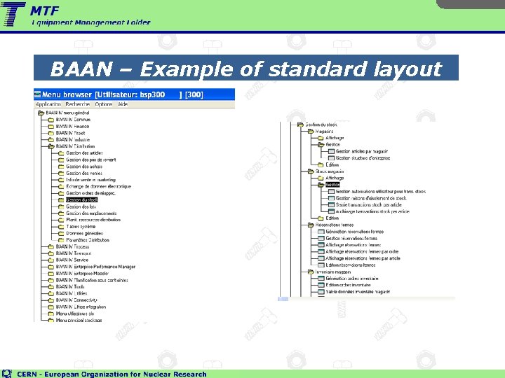 BAAN – Example of standard layout 