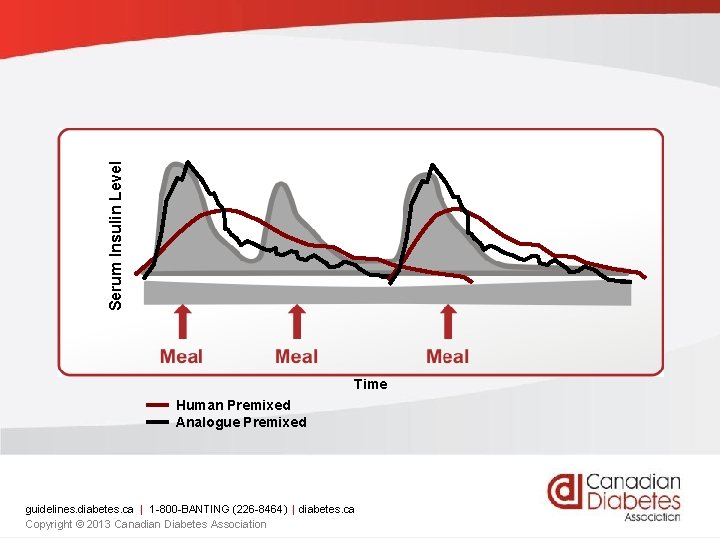 Serum Insulin Level Time Human Premixed Analogue Premixed guidelines. diabetes. ca | 1 -800