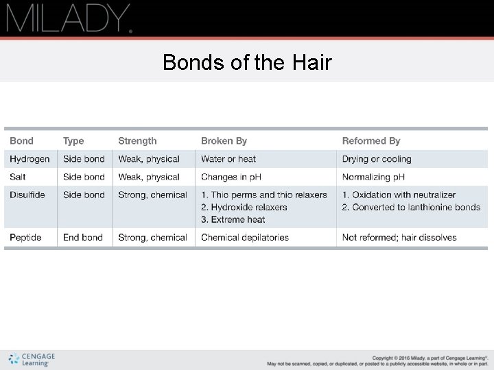 Bonds of the Hair 