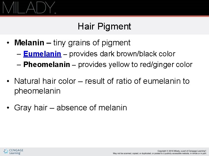 Hair Pigment • Melanin – tiny grains of pigment – Eumelanin – provides dark
