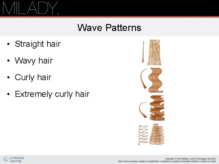 Wave Patterns • Straight hair • Wavy hair • Curly hair • Extremely curly